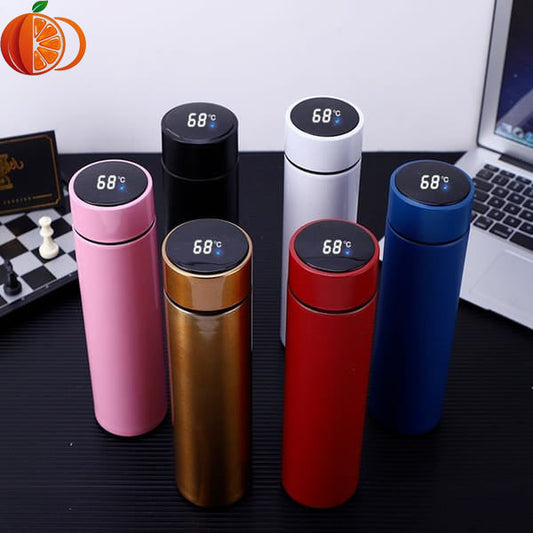 LED Temperature Display Water Bottle for Hot & Cold Drinks